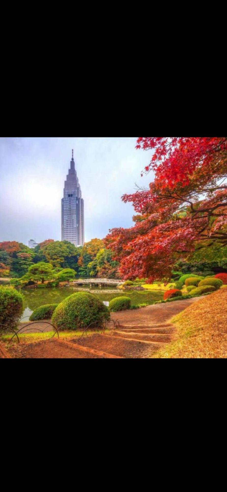 新宿安靜の家-A Quiet Home In Shinjuku - A 26 Square Meter Double Bed Room That Feels Like Home طوكيو المظهر الخارجي الصورة