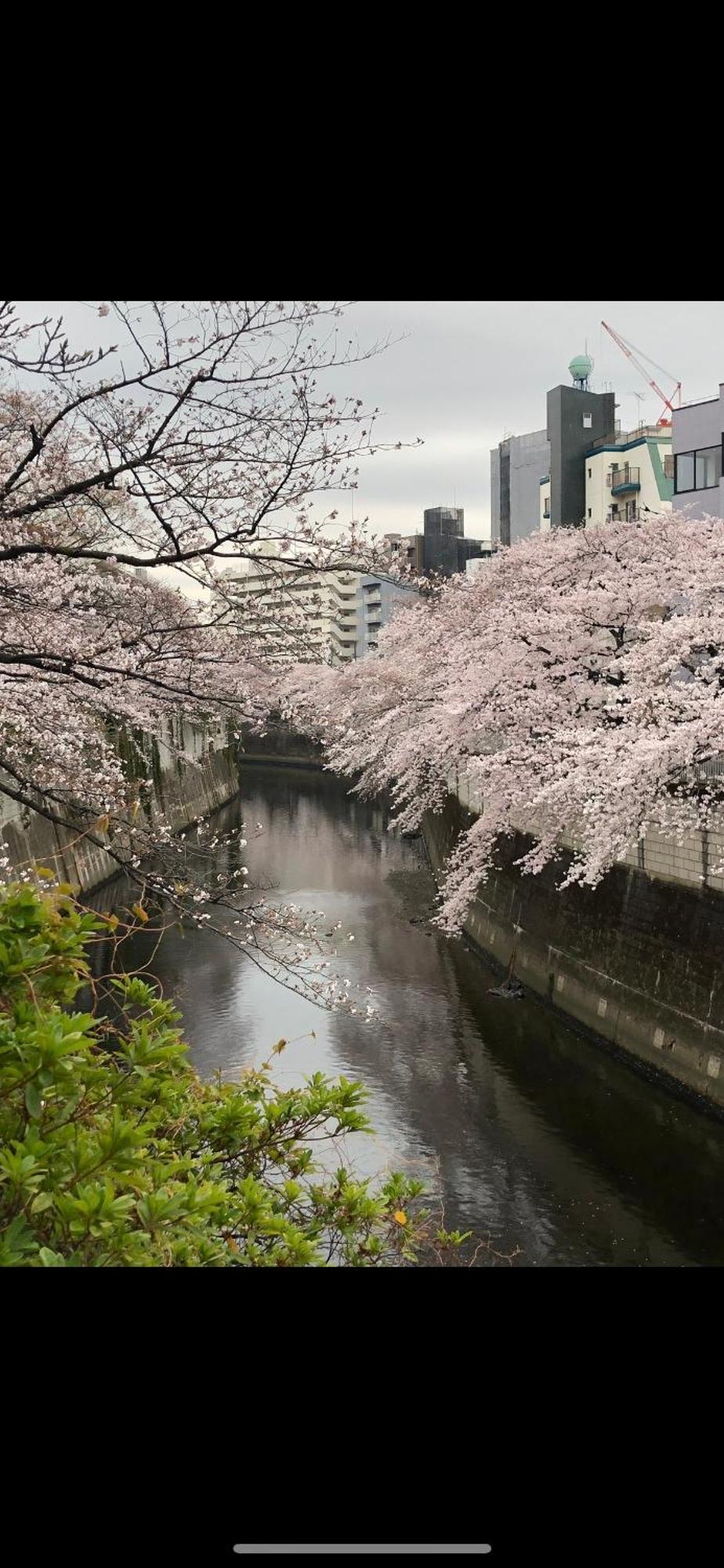 新宿安靜の家-A Quiet Home In Shinjuku - A 26 Square Meter Double Bed Room That Feels Like Home طوكيو المظهر الخارجي الصورة
